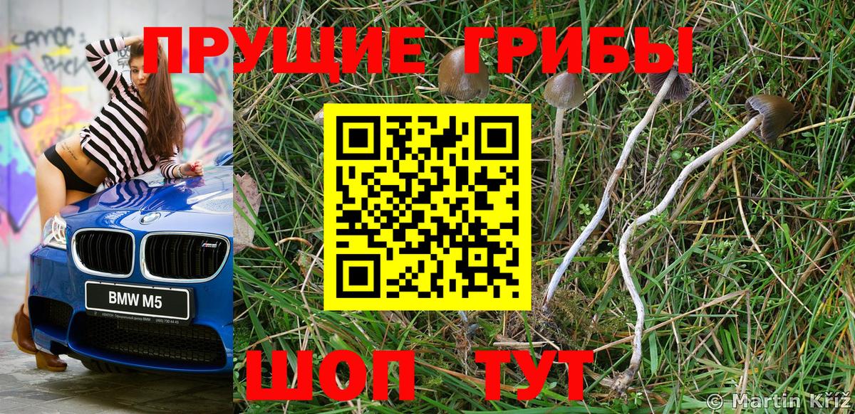 Псилоцибиновые грибы мухоморы  Вход с VPN  Галлюциногенные грибы Cubensis  Уссурийск 